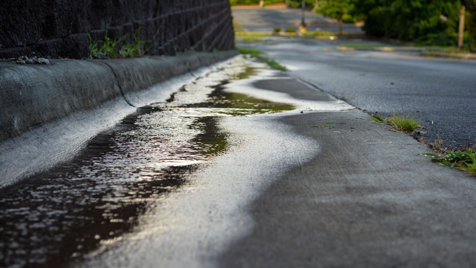 stormwater Drain Layers Auckland NZ